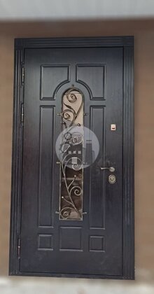 входная дверь для частного дома с ковкой
