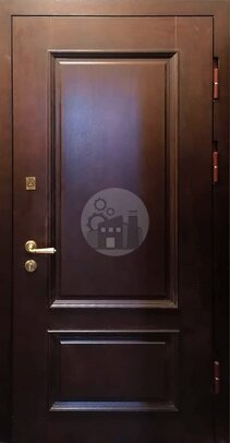 металлическая дверь с терморазрывом, отделка мдф шпон-ДВ-1155